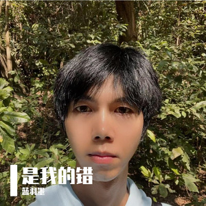 是我的错