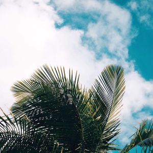 Tomorrow【已售】