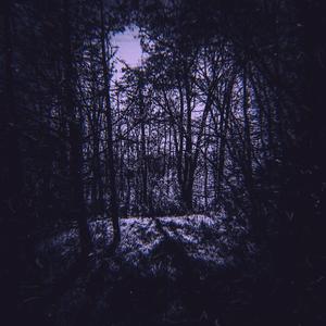 Xylophobia