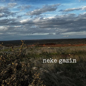 Neke Gazin