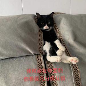 哪里都是你（Cover：队长）