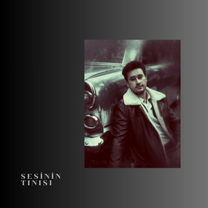 SESİNİN TINISI