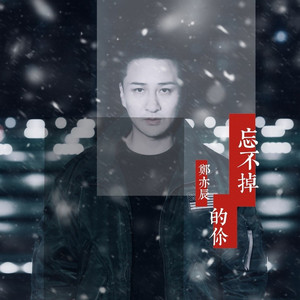 忘不掉的你 (伴奏)