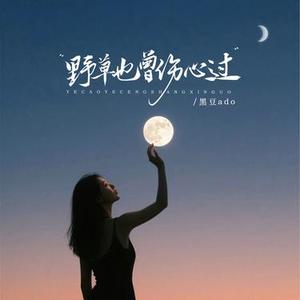 野草也曾伤心过 (DJ京仔版)
