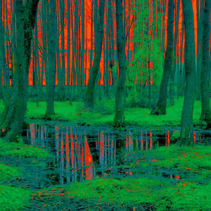 Leakin Park (feat. GOOD FAITH BOOMER & Bill Carl Boomer) (Radio Edit)