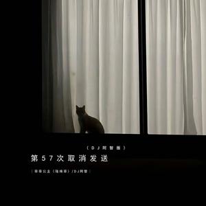 第57次取消发送（DJ阿智版）