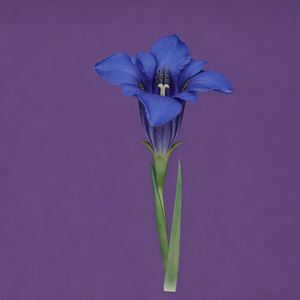 月が綺麗ねと言われたい！