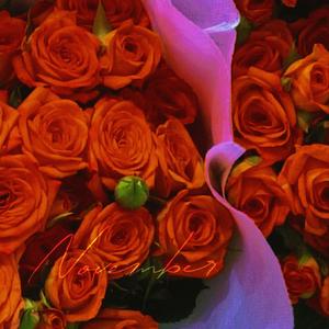 野花（cover.田震）