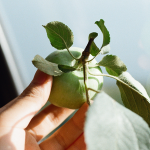 HARD AStyle(Hardstyle mix)