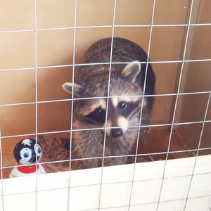 бездонная кружка кофе