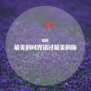 最美的时光错过最美的你