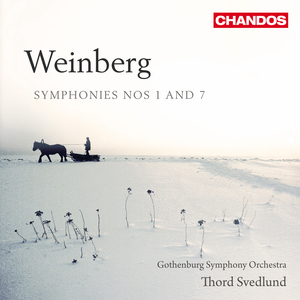 Symphony No. 1 in G Minor, Op. 10: II. Lento