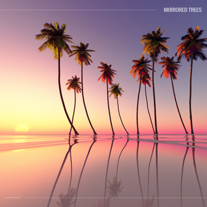 Crossing the Streets