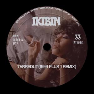 Tereddüt (feat. mirkelam) (IKIBIN 1999 PLUS 1 SP REMIX)