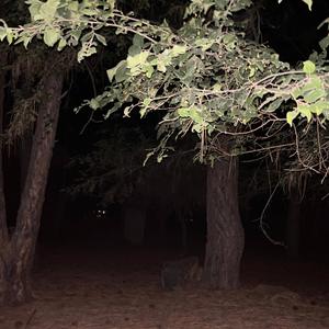 What if i get slimed?