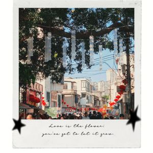 2026新年快乐，马年行大运