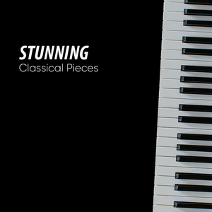 Beethoven's Sonata Waldstein Op 53 II Introduzione adagio Molto