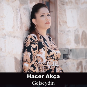 Gelseydin