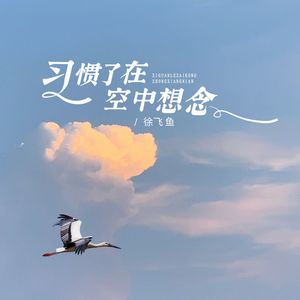 习惯了在空中想念