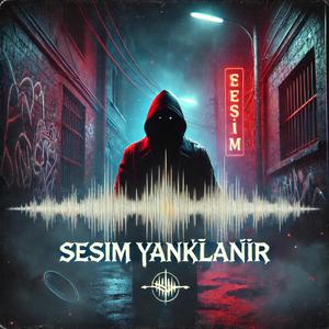 Sesim Yankılanır