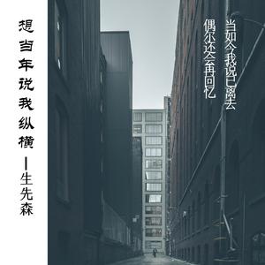 想当年说我纵横