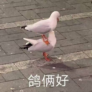 小胡&&CYS(Prod by Temptgod）