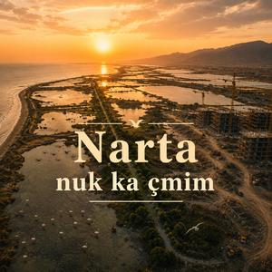 Narta nuk ka çmim
