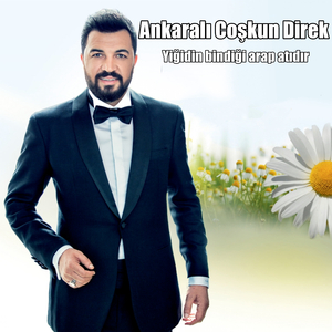 Yiğidin bindiği arap atıdır