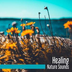 Reality (Calming Music)