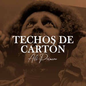 Techos De Cartón