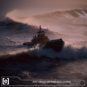 In The End (MDNA Remix)