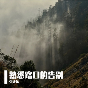 熟悉路口的告别