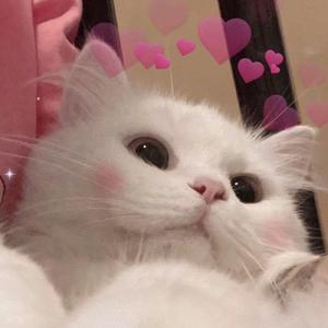 月夜（翻自 双笙）