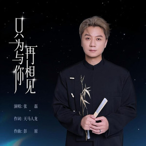 只为与你再相见