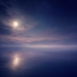 静かな部屋に広がる余韻