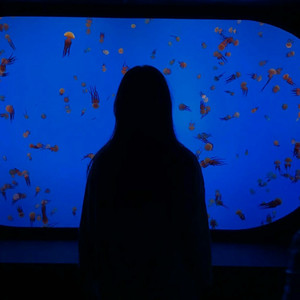 保留 （special女版！）