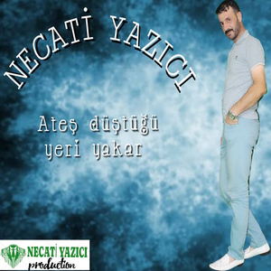 Ateş Düştüğü Yeri̇ Yakar