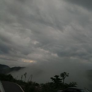雨后的山林