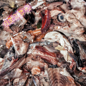 The Dark Surf Returns