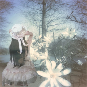 一个深爱的人RZR(1.0）