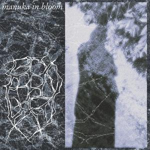 CPK-WIL-B-28 (all stars in the ground)