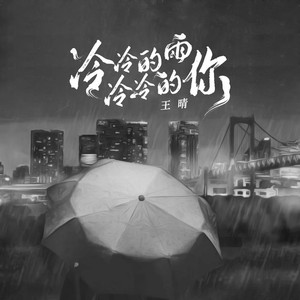 冷冷的雨冷冷的你 (DJ九零版伴奏)