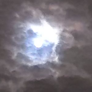 风向(Prod by Siren）