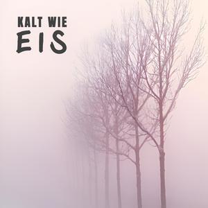 Kalt wie Eis (feat. Tonee Jukeboxx)