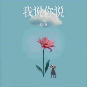 我说你说