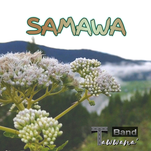 Samawa