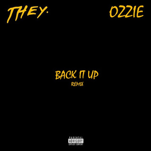 Back It Up (OZZIE Remix)
