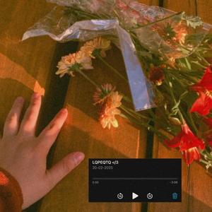 Lo que pasa es que te quiero