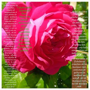 Quelques Fleurs