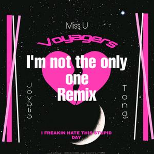 Sam Smith-Not Only（Tong / Joy 3ti3 remix）